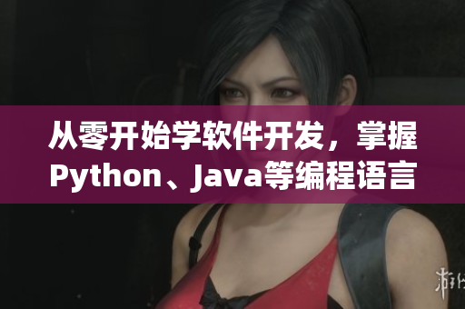 从零开始学软件开发，掌握Python、Java等编程语言
