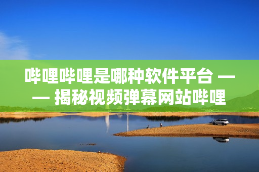 哔哩哔哩是哪种软件平台 —— 揭秘视频弹幕网站哔哩哔哩的软件特点