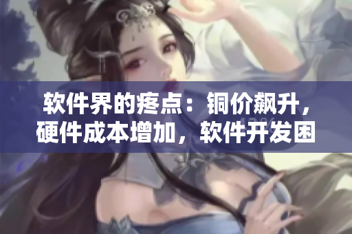 软件界的疼点：铜价飙升，硬件成本增加，软件开发困境
