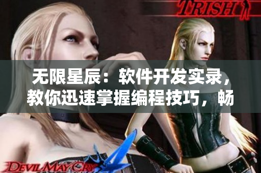 无限星辰：软件开发实录，教你迅速掌握编程技巧，畅享网络世界