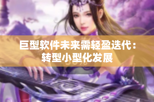 巨型软件未来需轻盈迭代：转型小型化发展
