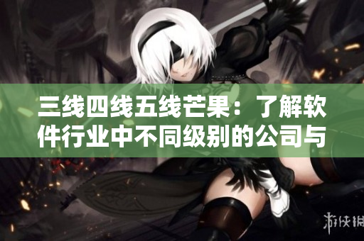 三线四线五线芒果：了解软件行业中不同级别的公司与项目。