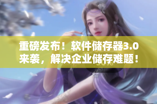重磅发布！软件储存器3.0来袭，解决企业储存难题！
