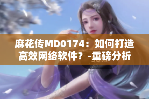 麻花传MD0174：如何打造高效网络软件？-重磅分析