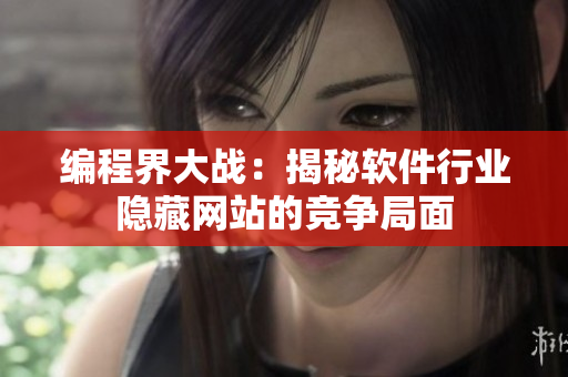 编程界大战：揭秘软件行业隐藏网站的竞争局面