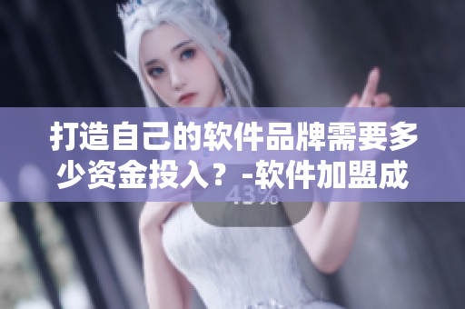 打造自己的软件品牌需要多少资金投入？-软件加盟成本分析