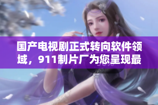 国产电视剧正式转向软件领域，911制片厂为您呈现最新力作！