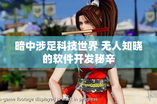 暗中涉足科技世界 无人知晓的软件开发秘辛
