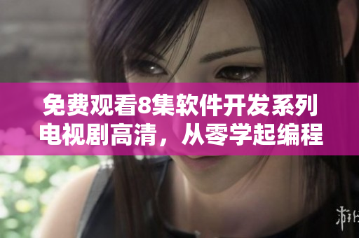 免费观看8集软件开发系列电视剧高清，从零学起编程技能!