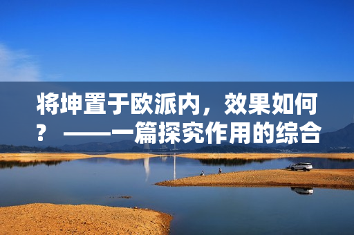 将坤置于欧派内，效果如何？ ——一篇探究作用的综合分析