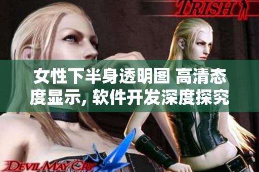 女性下半身透明图 高清态度显示, 软件开发深度探究!