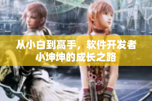从小白到高手，软件开发者小坤坤的成长之路