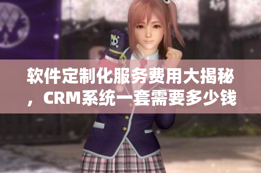 软件定制化服务费用大揭秘，CRM系统一套需要多少钱？