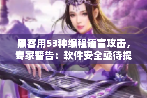 黑客用53种编程语言攻击，专家警告：软件安全亟待提升