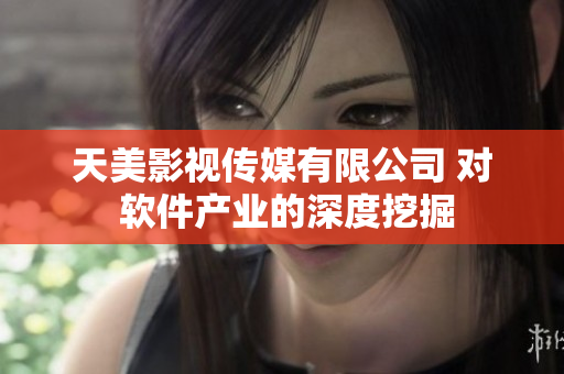 天美影视传媒有限公司 对 软件产业的深度挖掘