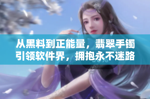 从黑料到正能量，翡翠手镯引领软件界，拥抱永不迷路之道