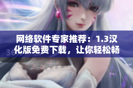 网络软件专家推荐：1.3汉化版免费下载，让你轻松畅享软件使用！