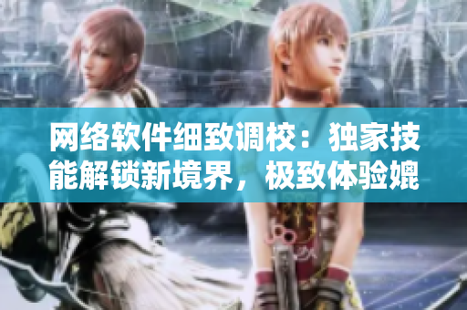 网络软件细致调校：独家技能解锁新境界，极致体验媲美限量版