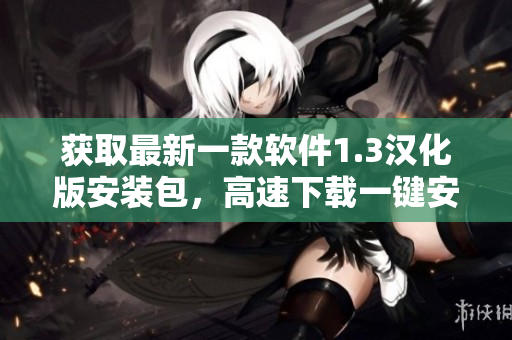 获取最新一款软件1.3汉化版安装包，高速下载一键安装