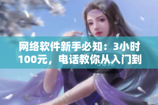 网络软件新手必知：3小时100元，电话教你从入门到精通！