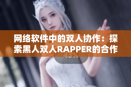 网络软件中的双人协作：探索黑人双人RAPPER的合作模式