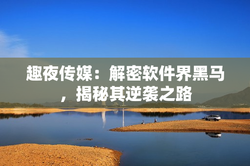 趣夜传媒：解密软件界黑马，揭秘其逆袭之路