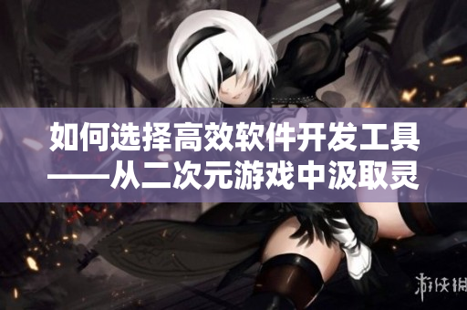 如何选择高效软件开发工具——从二次元游戏中汲取灵感