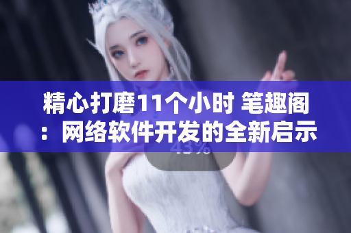 精心打磨11个小时 笔趣阁：网络软件开发的全新启示