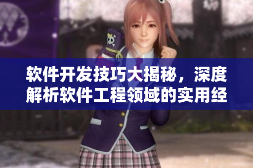 软件开发技巧大揭秘，深度解析软件工程领域的实用经验和最佳实践