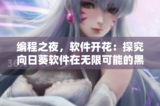 编程之夜，软件开花：探究向日葵软件在无限可能的黑夜中的绽放