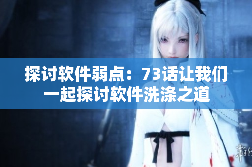 探讨软件弱点：73话让我们一起探讨软件洗涤之道