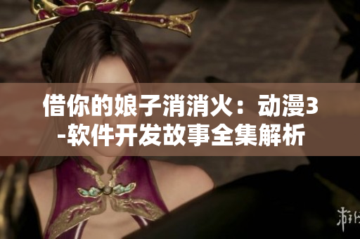 借你的娘子消消火：动漫3-软件开发故事全集解析