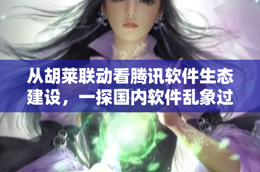 从胡莱联动看腾讯软件生态建设，一探国内软件乱象过往与未来。