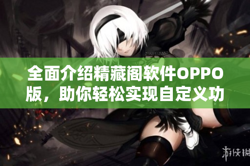 全面介绍精藏阁软件OPPO版，助你轻松实现自定义功能