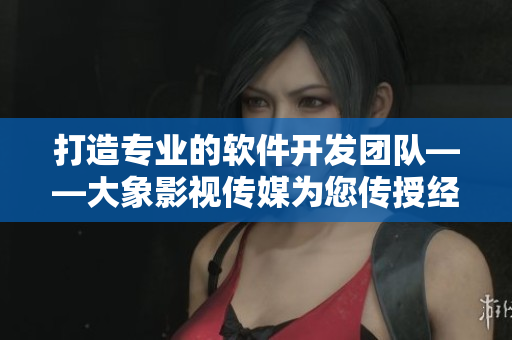 打造专业的软件开发团队——大象影视传媒为您传授经验