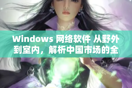 Windows 网络软件 从野外到室内，解析中国市场的全貌