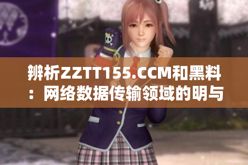 辨析ZZTT155.CCM和黑料：网络数据传输领域的明与暗
