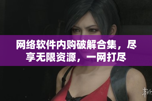 网络软件内购破解合集，尽享无限资源，一网打尽