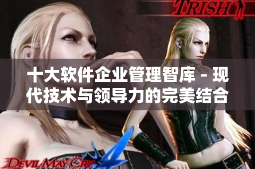 十大软件企业管理智库 - 现代技术与领导力的完美结合