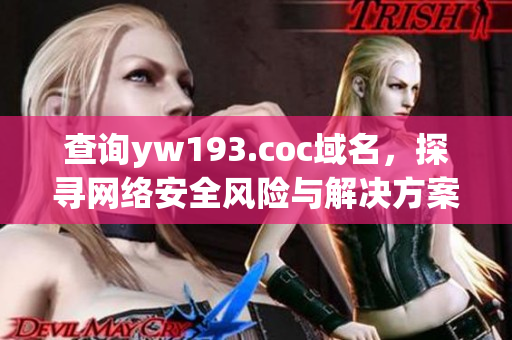 查询yw193.coc域名，探寻网络安全风险与解决方案