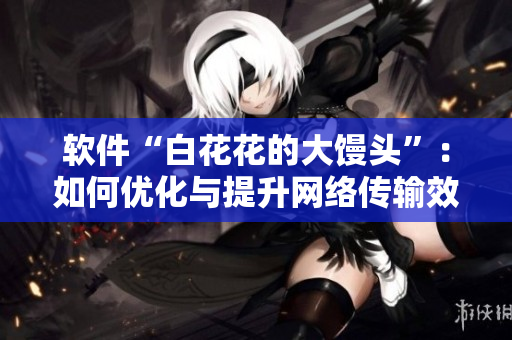 软件“白花花的大馒头”：如何优化与提升网络传输效率？