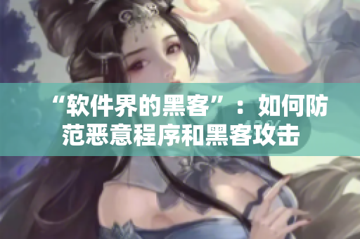 “软件界的黑客”：如何防范恶意程序和黑客攻击