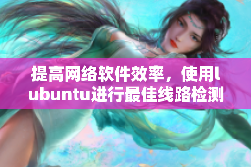 提高网络软件效率，使用lubuntu进行最佳线路检测3