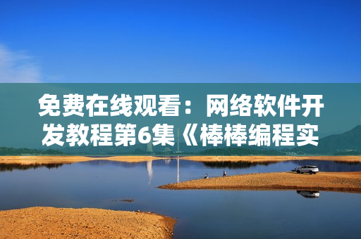 免费在线观看：网络软件开发教程第6集《棒棒编程实战》