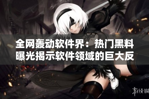 全网轰动软件界：热门黑料曝光揭示软件领域的巨大反差差距