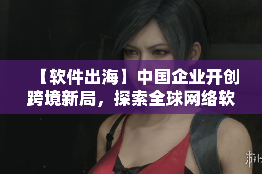 【软件出海】中国企业开创跨境新局，探索全球网络软件市场！