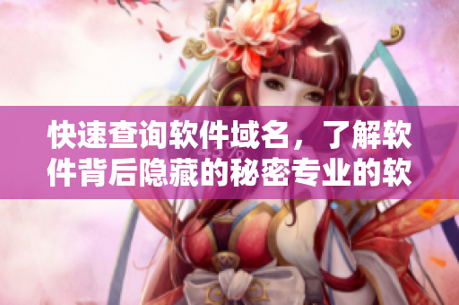 快速查询软件域名，了解软件背后隐藏的秘密专业的软件查询工具
