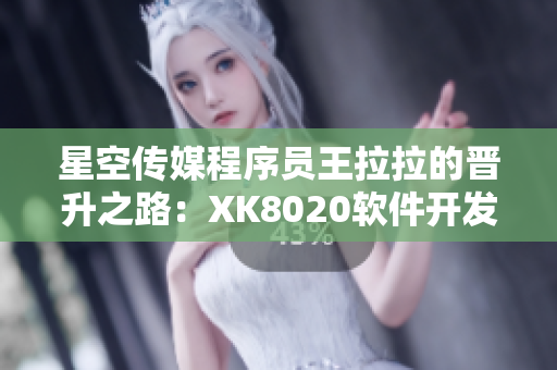 星空传媒程序员王拉拉的晋升之路：XK8020软件开发篇