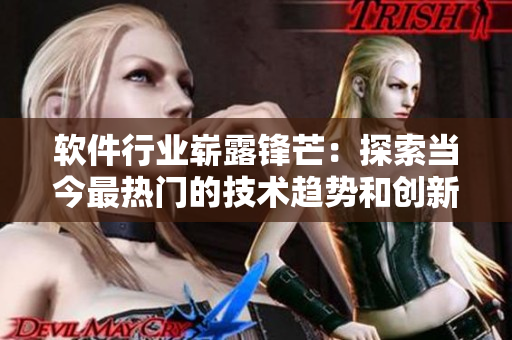 软件行业崭露锋芒：探索当今最热门的技术趋势和创新解决方案