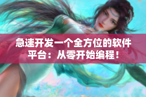 急速开发一个全方位的软件平台：从零开始编程！